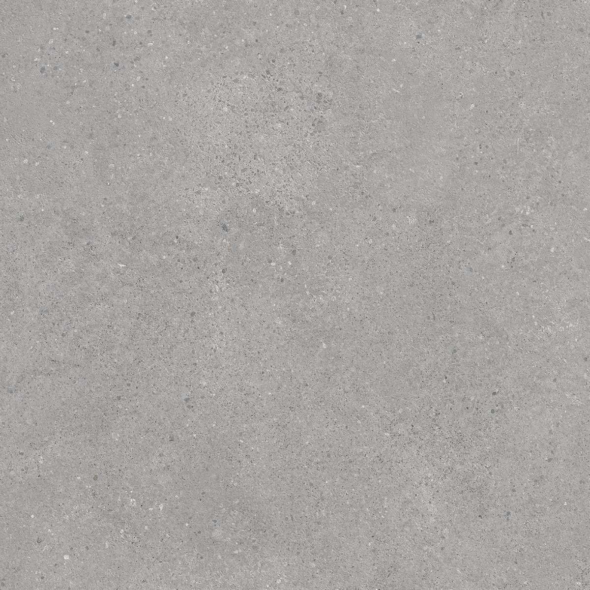 Фондамента серый светлый обрезной 60x60 DL600900R