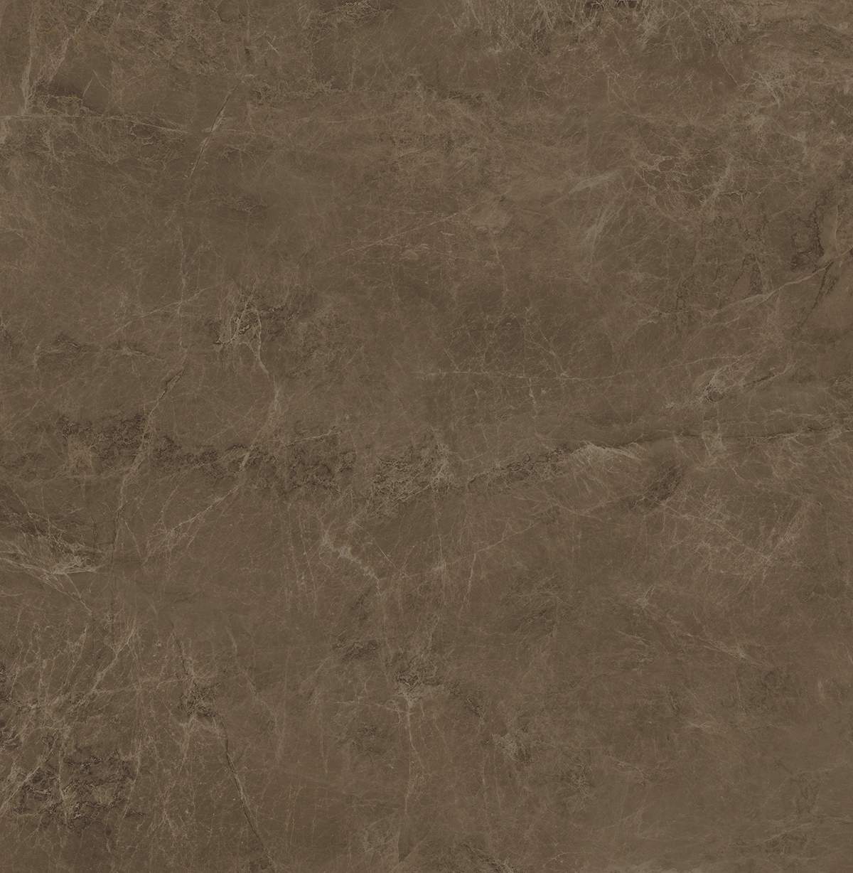 Гран-Виа коричневый светлый 60x60 SG650202R