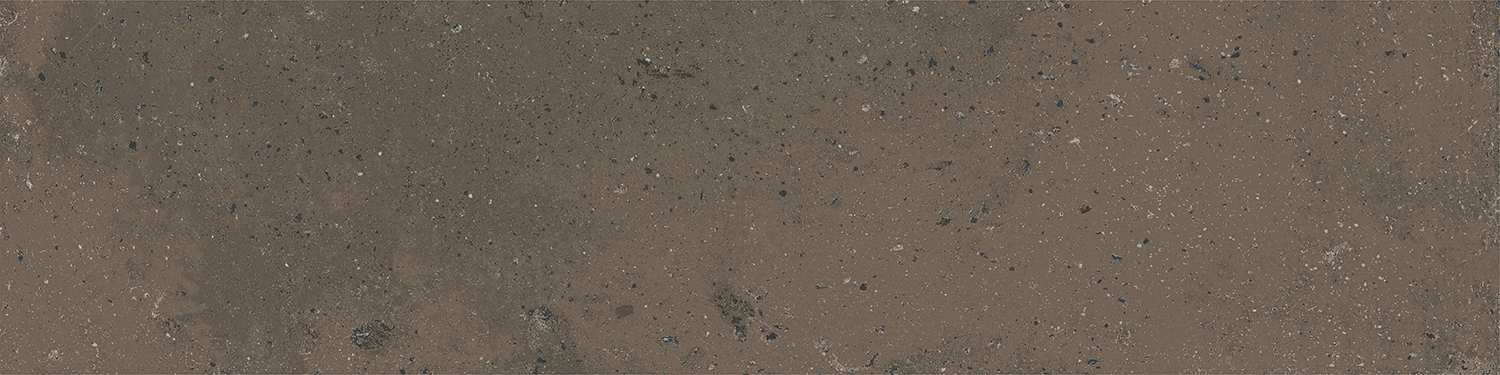 Довиль коричневый темный 9,9x40,2 SG403800N