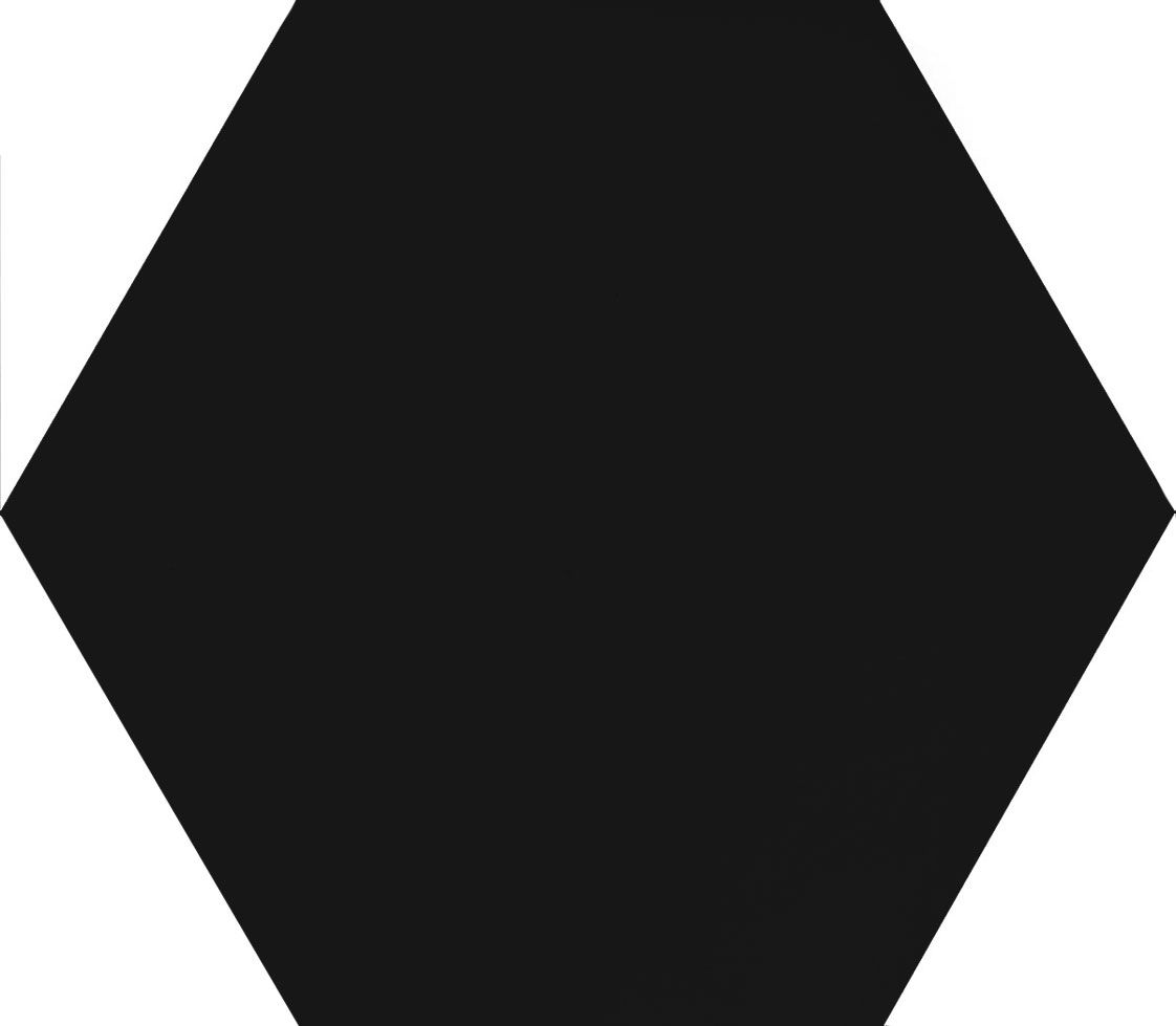 Буранелли черный 20x23,1 SG23001N