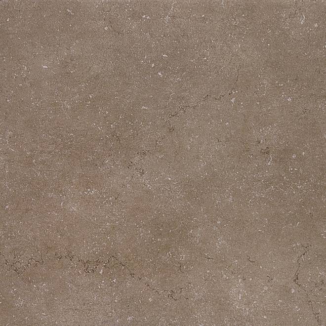 Керамический гранит 60х60 Дайсен коричн обрезной  (1) SG610520R