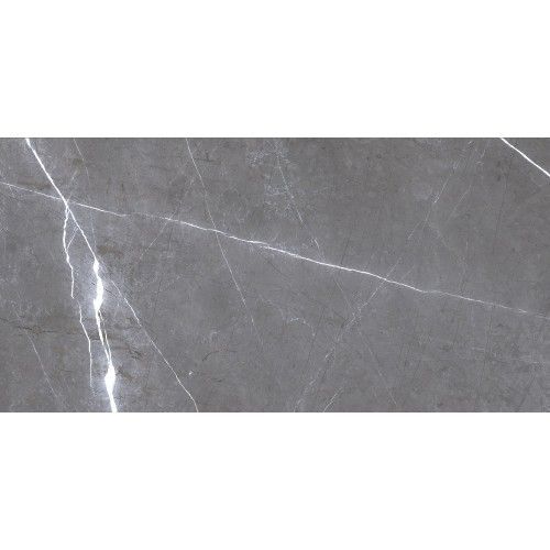 Simbel-grizzly 60x120 серый с проседью GRS05-05