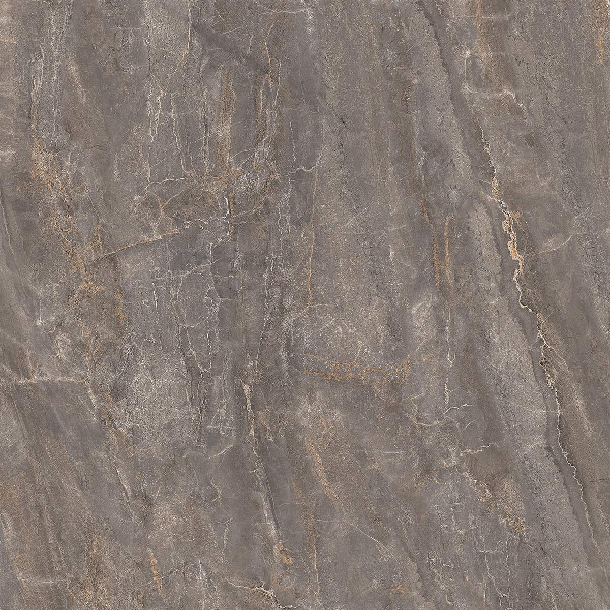 Парнас пепельный лаппатированный обрезной 80x80 SG842002R